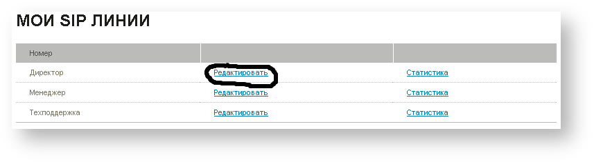Разработки АО ТЕЛЕДИСКОНТ - документация пользователя > Настройка SIP-аккаунтов > image2013-3-11 17:27:54.png